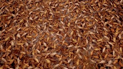 A screenshot taken in Dreams. 14 of 16.