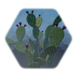 Pear Cactus