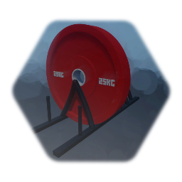 Olympic Weight Lifting