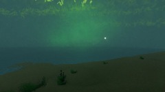 Mythology the selkie