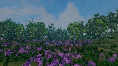 Pure Michigan Summer