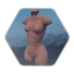 Frauen Torso