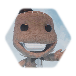 Mr. Sackboy