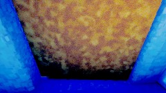 Inside Store Gorilla tag