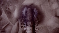 A screenshot taken in Dreams. 1 of 18.