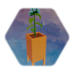 Flower in Container