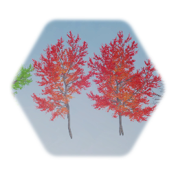 Realistic Red Maple Tree (Mature)