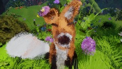 Little Fox - 3D Vr Draw