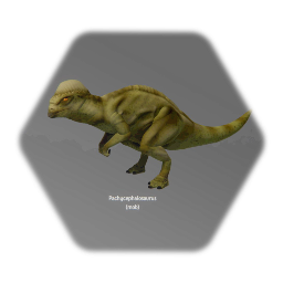 Pachycephalosaurus