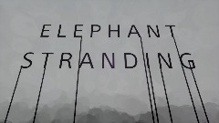 Elephant Stranding