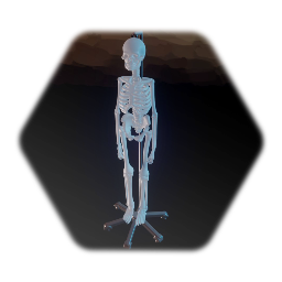 Hospital - Medical Skeleton Decoration