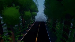 Forest road