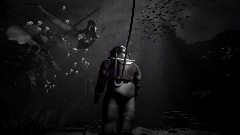 The Mermaid And The Diver