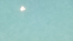 Elie and Sean Movie 134