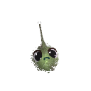 Sadfroggo262