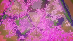 Colors