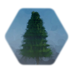 Evergreen tree