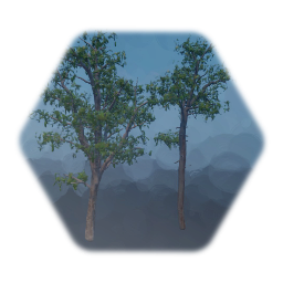 Northwoods Vegetation