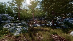 Realistic Forest 2