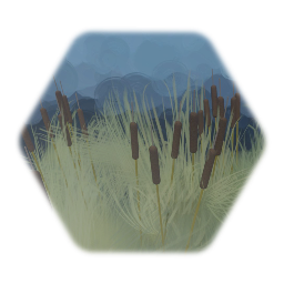 Bullrush in tall grass
