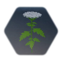 Real Flora Collection