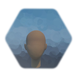 Mannequin Head Form for Hair/Wig Sculpting 2