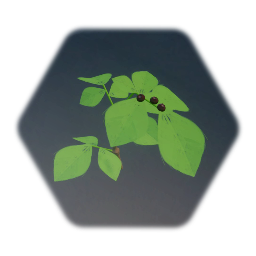 Huckleberry Plant 2.0