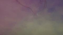 A screenshot taken in Dreams. 3 of 17.