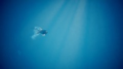 A screenshot taken in Dreams. 1 of 2.