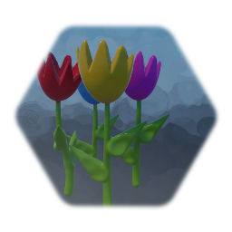 Multicolored Tulips