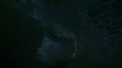 The Hunt (A Predator Game)