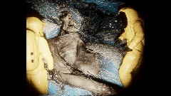 A screenshot taken in Dreams. 16 of 30.