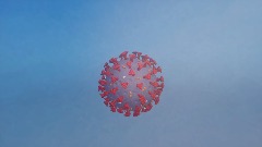 Coronavirus (COVID-19)