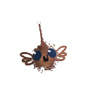 raccgun