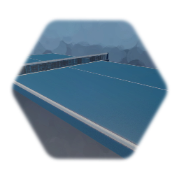 Ping Pong Table