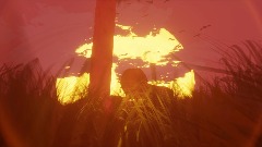 In Between the Lions