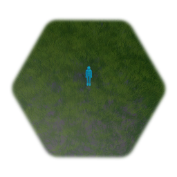 Camera - Locked & Free