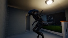Xenomorphs happy home