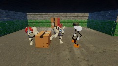 Godze N. Distraction dance