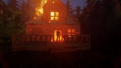 Wooden House