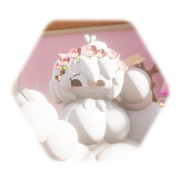 ‹~ °ºChi Chiº° ~›