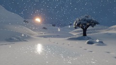 A Walk In The Snow