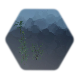 P.T. Plants