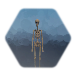 Puppet Skeleton