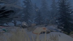 Dreams' winter graveyard