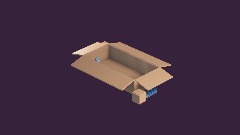 Large Long Cardboard Box