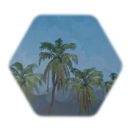 Roebelini Pygmy Palm Tree