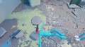 All Animations
