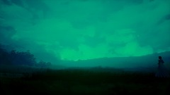 The woman in the field (painting) (art)