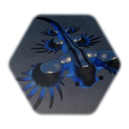 Blue Sea Dragon